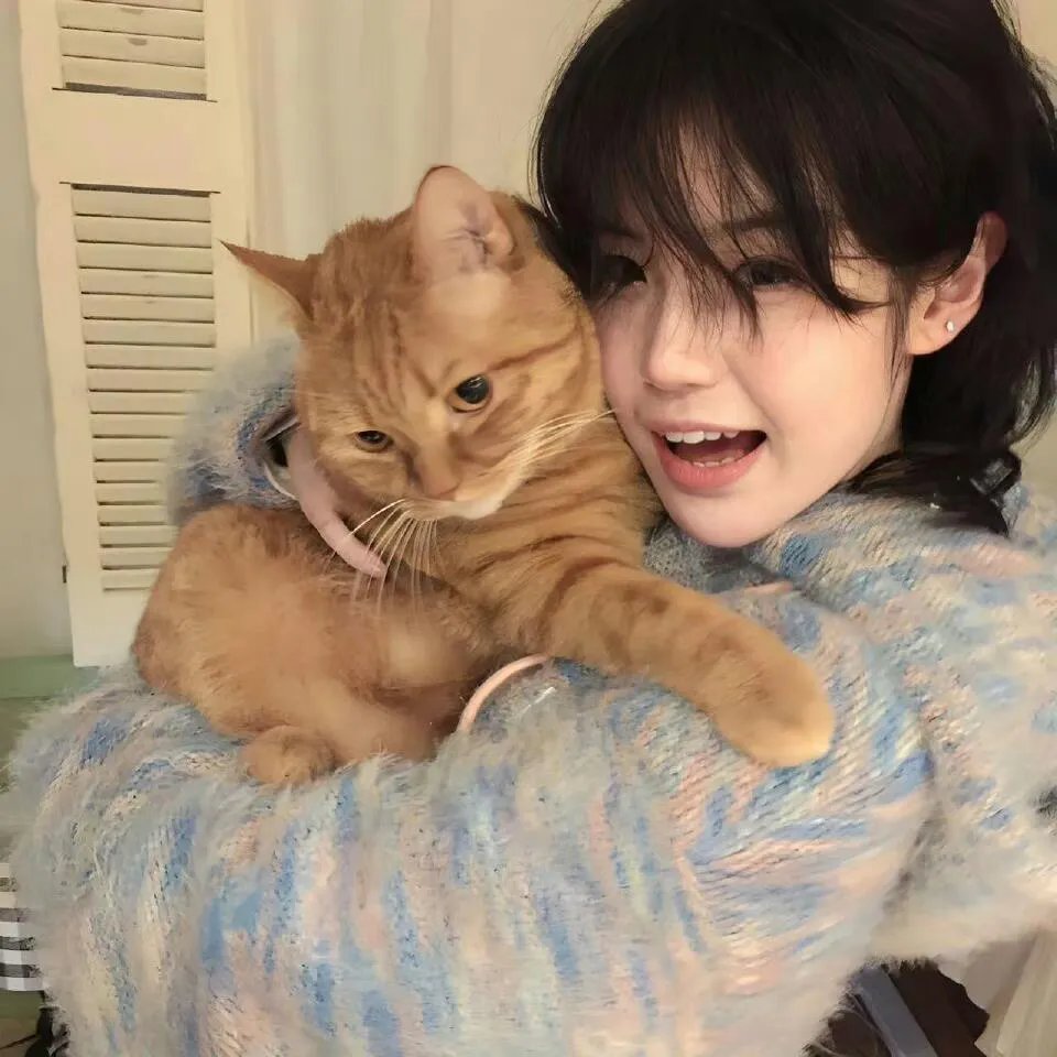 猫和老鼠1975